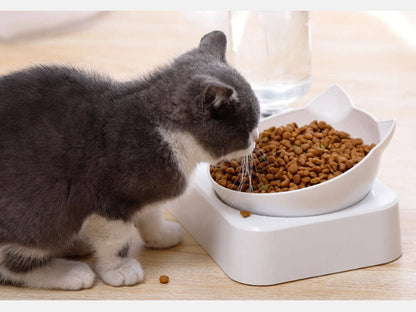 Dubbel automatisk matningsskål för katt