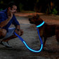 Produkter Hundkoppel med LED-ljus och en hund