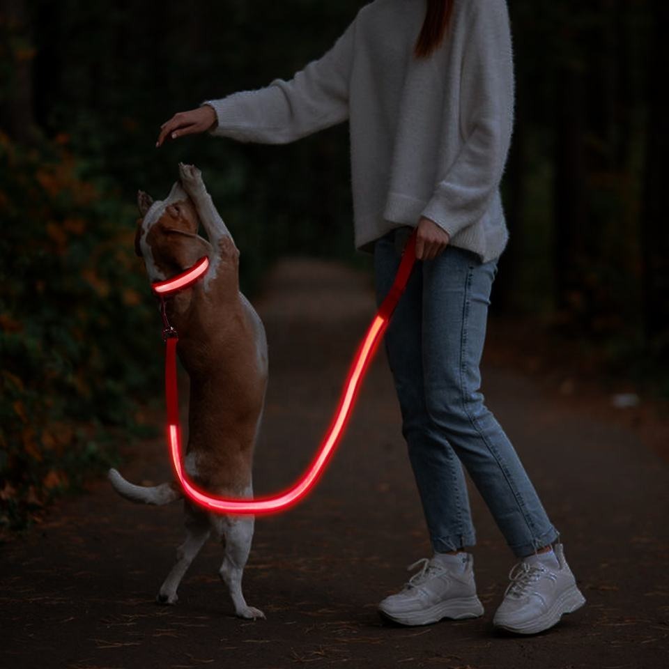 Produkter Hundkoppel med LED-ljus