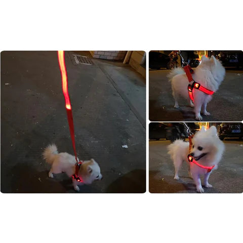Antidrag hundsele med LED-Lampa