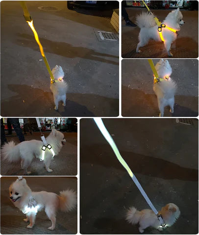 Antidrag hundsele med LED-Lampa